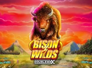 Bison Wilds DoubleMax game icon